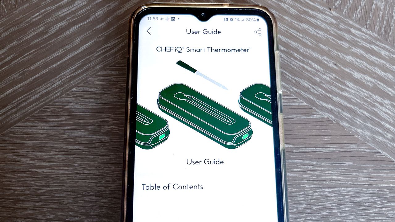 Chef IQ smart thermometer