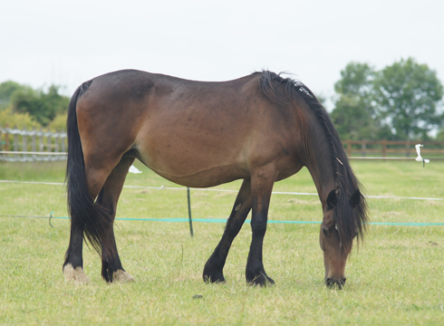 Jessica after being rescued by Redwings