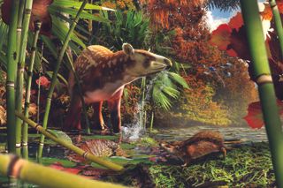 An artist's reconstruction shows a newfound tapiroid drinking in the shallows of an Eocene lake in British Columbia, with the small, newly identified, proto-hedgehog in the foreground.