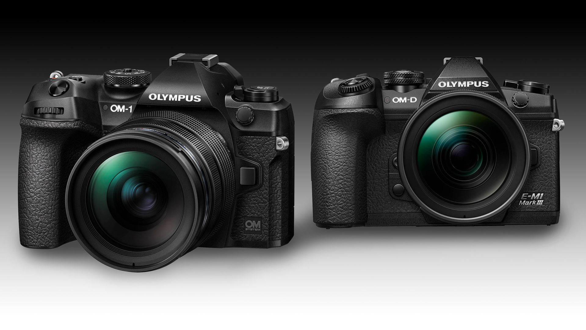 Olympus OM1 vs OMD EM1 Mark III Digital Camera World