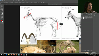 Use skeletal reference while modelling