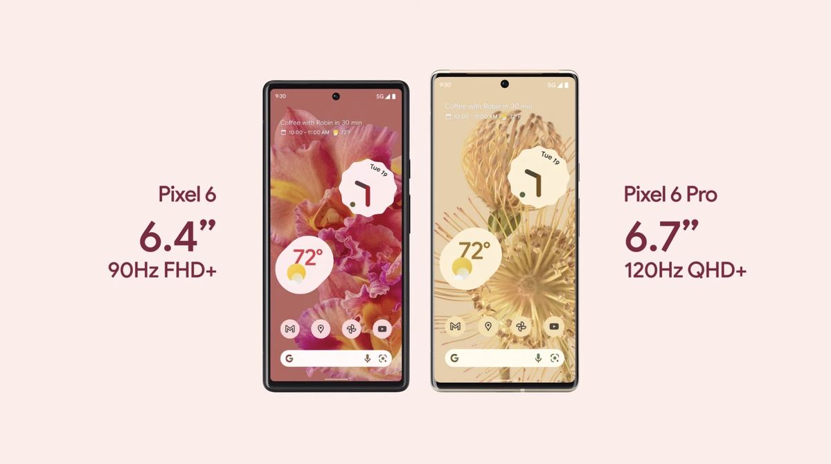 Google Pixel 6 and Pixel 6 Pro