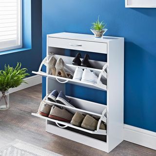 blue wall with wooden flooring and shoe cabinet with plant on glass