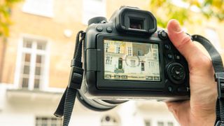 A camera display showing the scene with activated in-camera level/grid