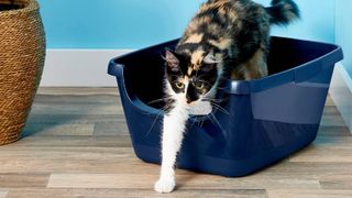 Frisco High Sided Cat Litter Box