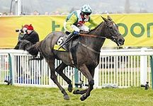 Denman.jpg