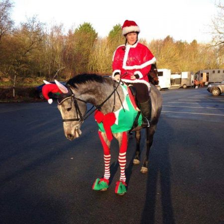 Sarah Hudgins&rsquo; five-year-old ex-racehorse Dangerous Brian, who is quite happy with the stockings, elf boots and ears (but wasn&rsquo;t so sure about tinsel&hellip;)