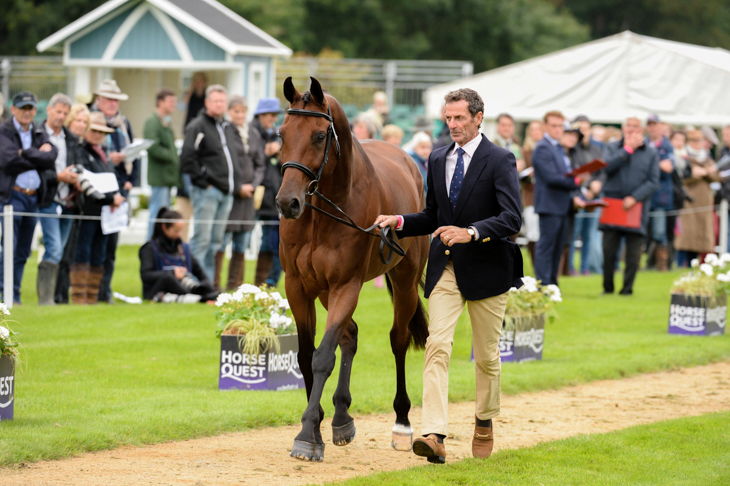 Mark Todd and Leonidas II