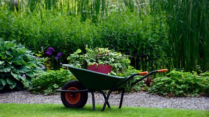 Monthly gardening calendar Wheelbarrow with weeds in a garden