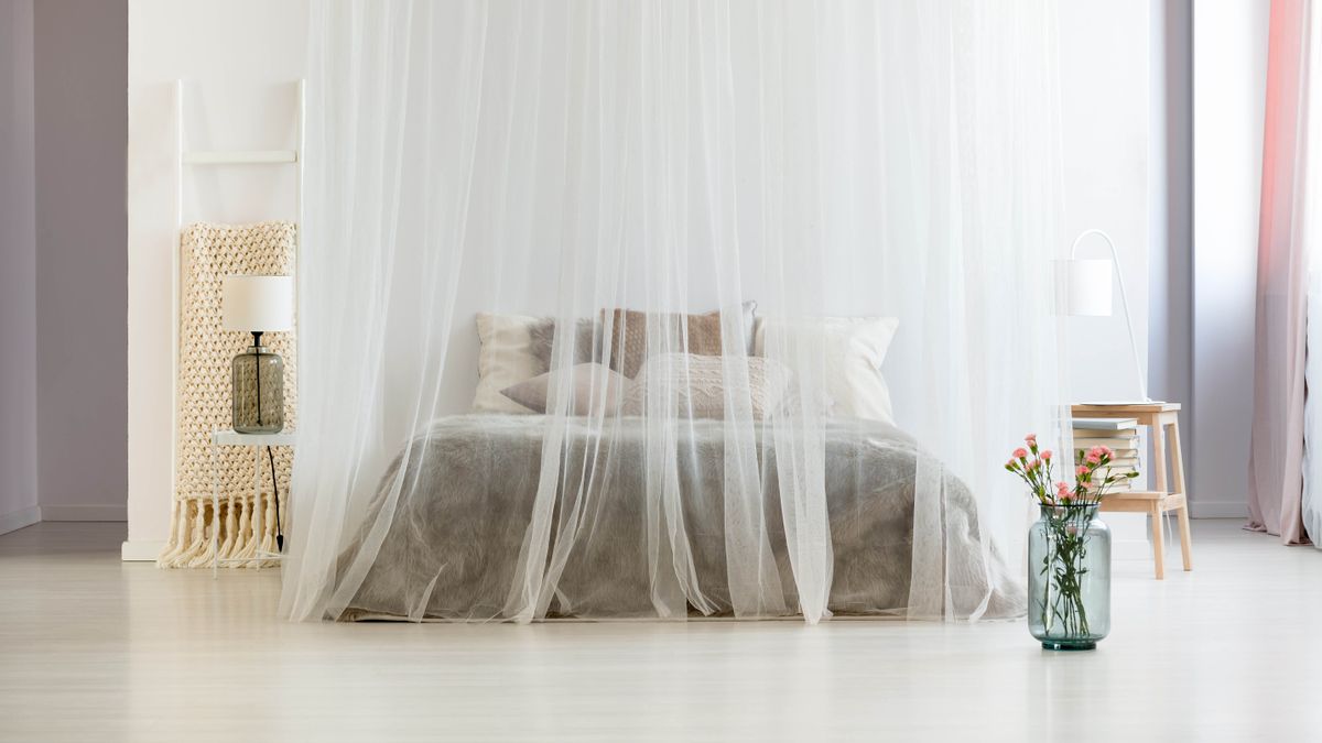 How to get rid of mosquitoes and deal with those nasty bites Tom