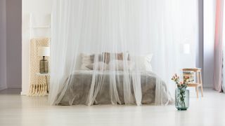 A mosquito net surrounding a bed