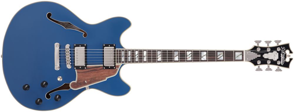 D'Angelico Deluxe DC LE