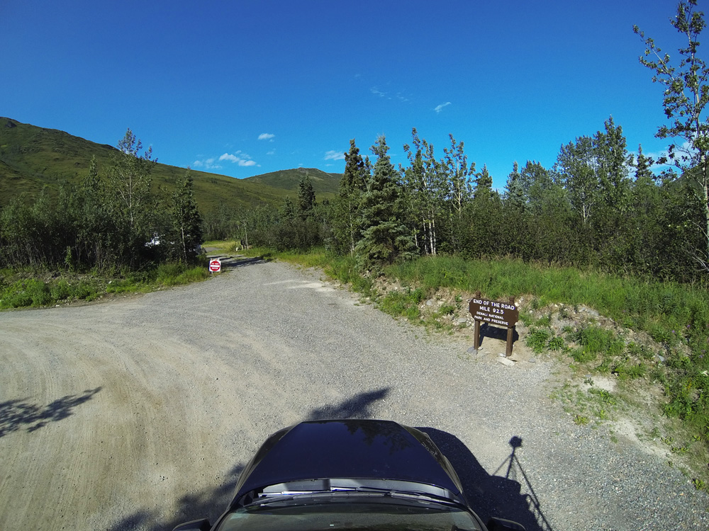 Denali national park road
