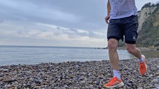 Trail runner wearing Adidas Terrex Heat.Rdy Trail Running Speed Ankle Socks and adidas Terrex trail running shoes on a pebbly beach