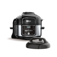 Ninja Foodi 10-in-1 5qt Pressure Cooker and Air Fryer: $169.99