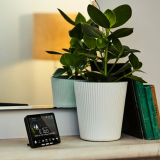 smart meter on table with pot plant