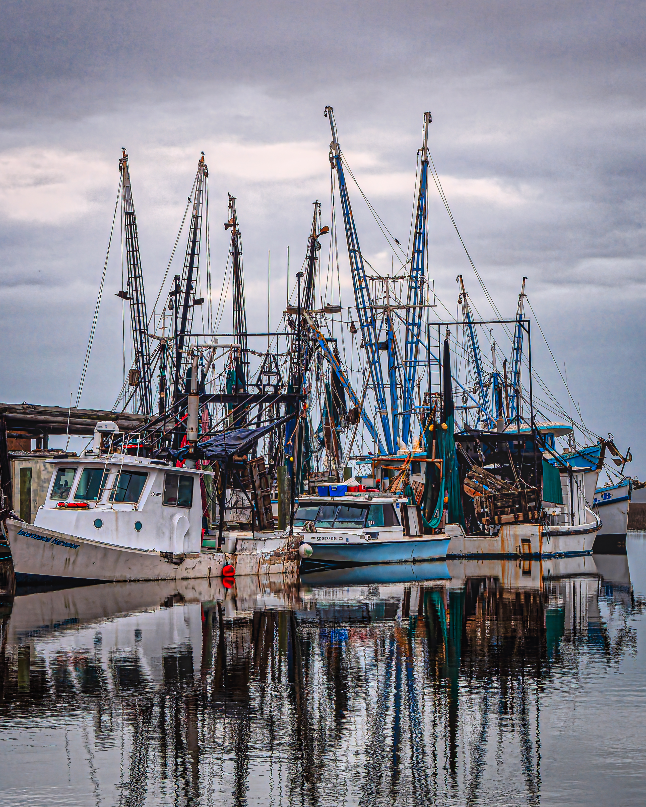 GuruShots - February 2026