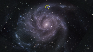 A deep purple spiral galaxy is seen head-on, and a small bright dot toward the top of this spiral has been highlighted and circled in yellow.