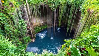 A shot of Ik Kil Cenote in Yucatan, Mexico