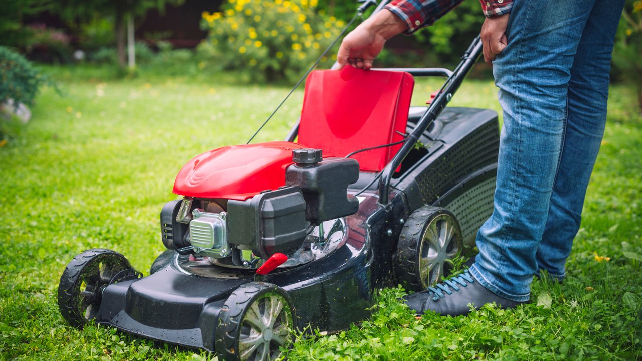man looking at lawn mower