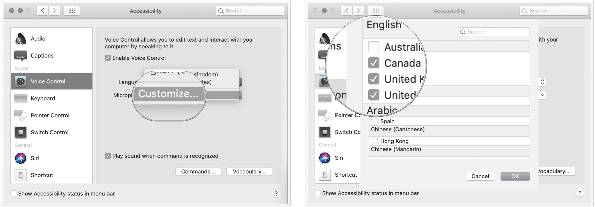 To change the Voice Control language, click on the pull-down menu next to Language, then select Customize. Tap the boxes for the languages you'd like to select. Choose OK.