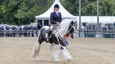 Vicky Smith and Chynas Top Deck win The Coloured Ridden Championship at Royal Windsor Horse Show and display beautifully clean horse feathers