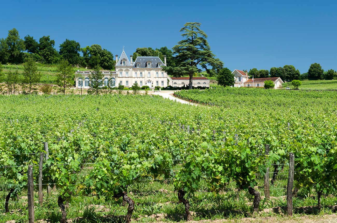 Ch&acirc;teau Fonpl&eacute;gade wines