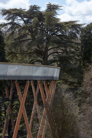 The STIHL Treetop Walkway