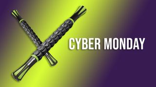 Massage stick cyber monday deal