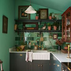 kitchen with green wall grey cabinets white counter and shelf with frames and plants
