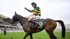 Stayers&rsquo; Hurdle result 2023 winner Sire Du Berlais