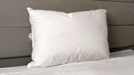 The Downright Mackenza WD pillow sitting on the bed in our reviewer's bedroom