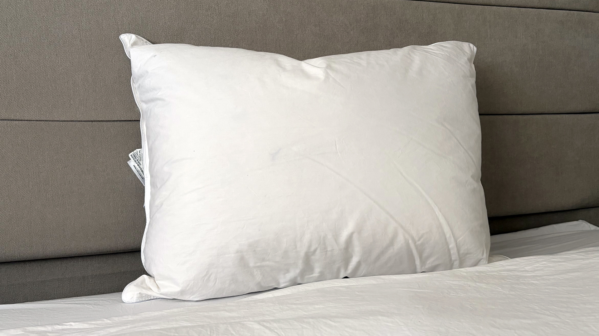 The Downright Mackenza WD pillow sitting on the bed in our reviewer's bedroom
