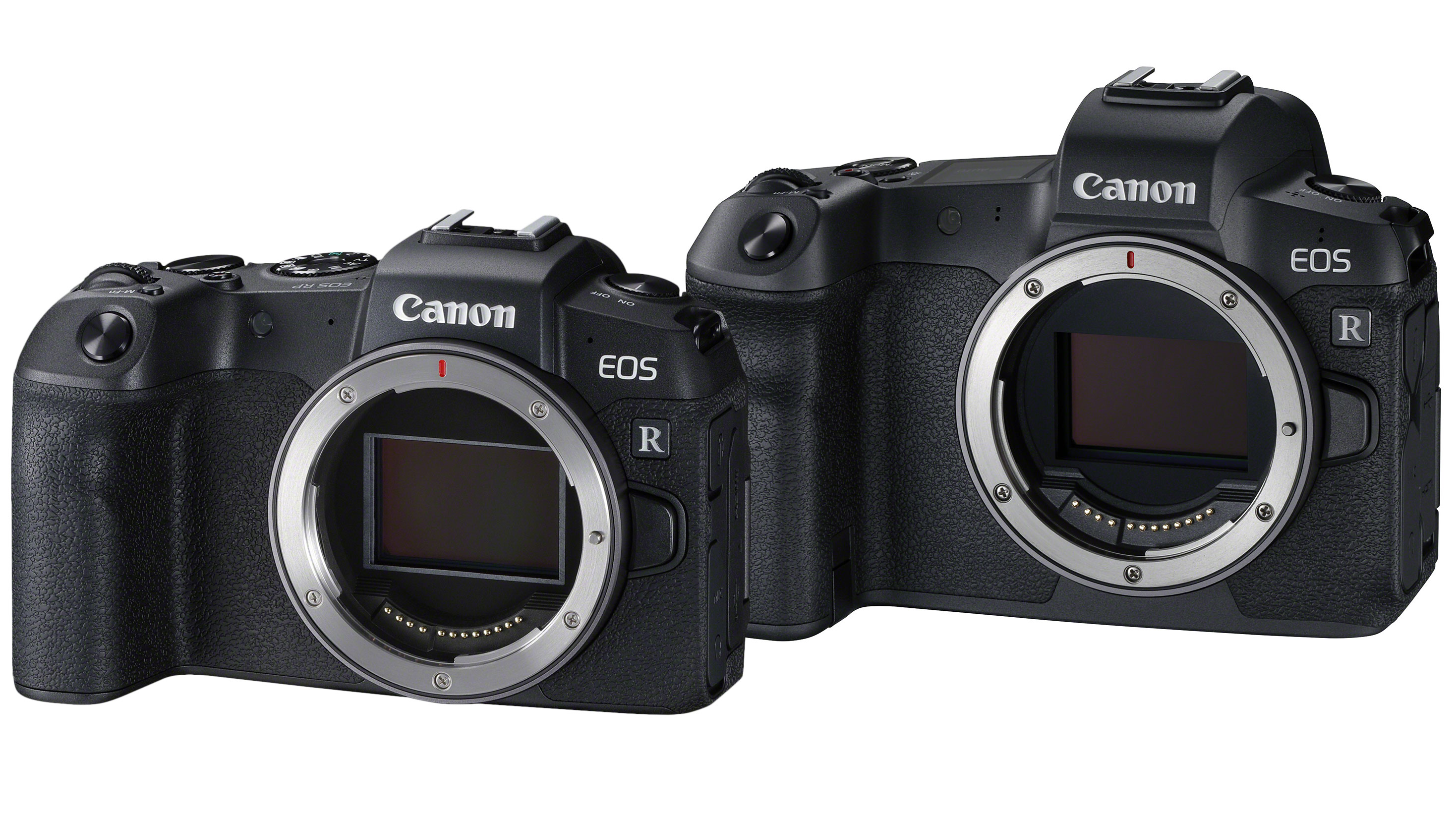 Canon EOS RP vs EOS R