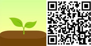 QR: Forest: Stay focused, be present