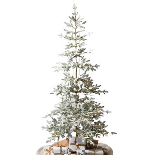 Frosted Alpine Balsam Fir® Tree by Balsam Hill.jpg