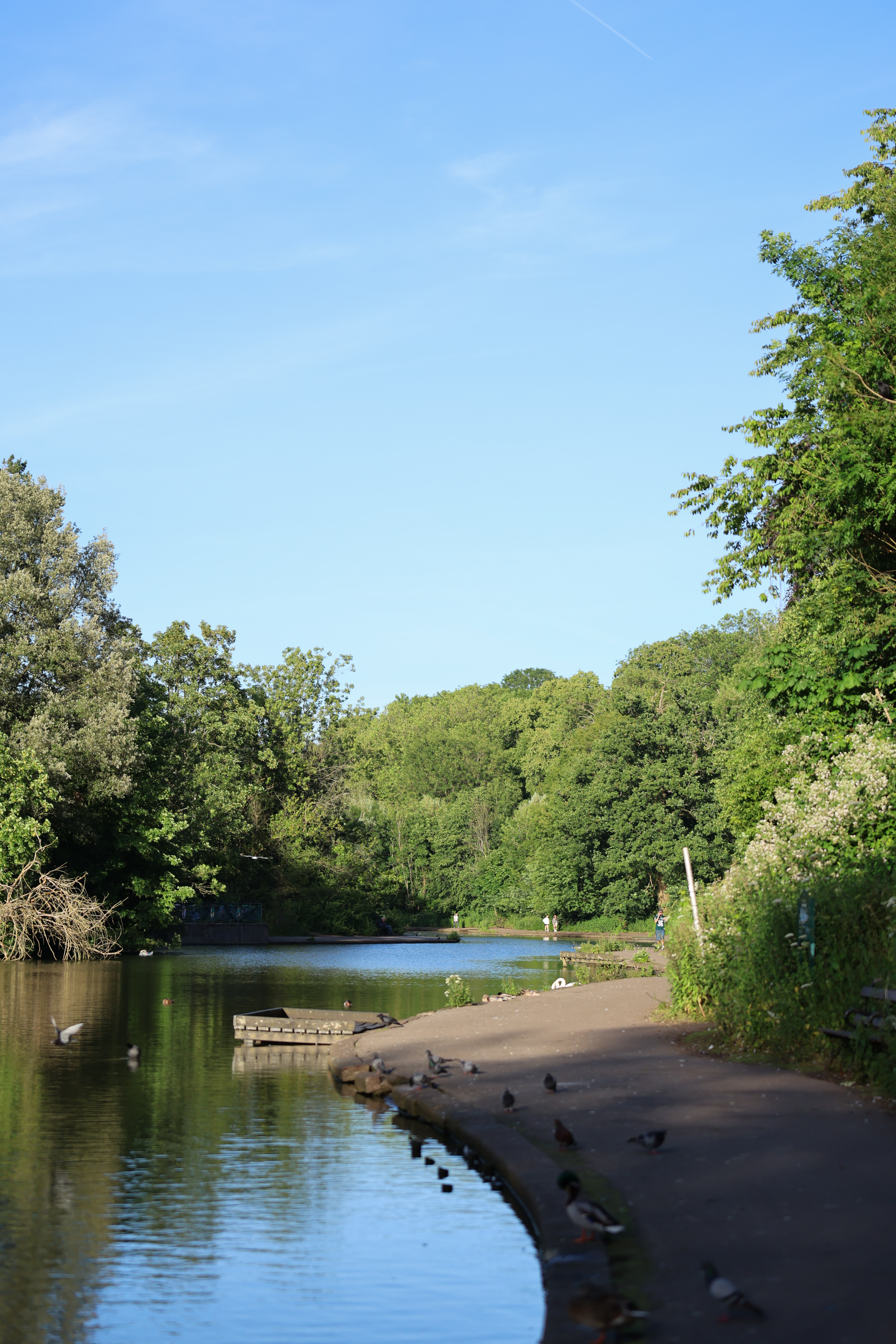 A landscape photo taken on a Canon EOS R6 Mark III