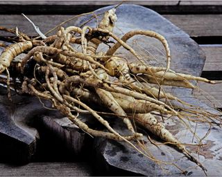 Skirret roots