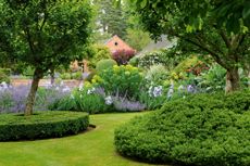 Malus hupehensis in the Walled Garden emerge from a low circle of clipped box and a mound of Hebe rakaiensis. The gardens at Everdon Hall, Northamptonshire. ©Val Corbett for Country Life