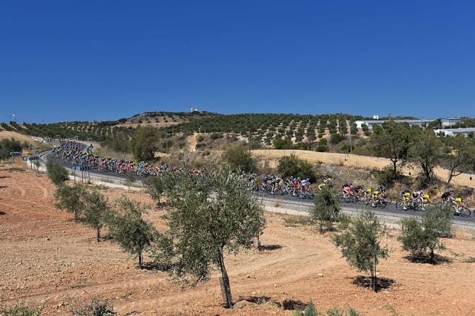 The peloton