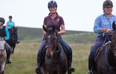 MK-LIBERTY-TRAILS4.jpg
