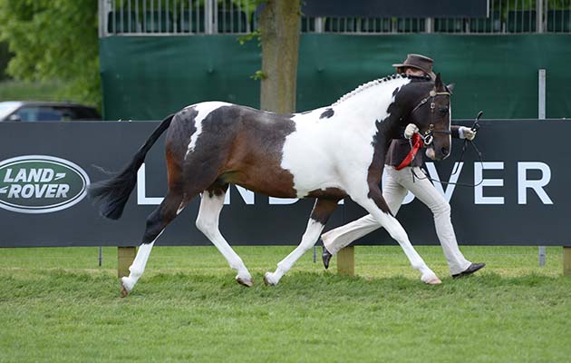 RWHS 08 05 2018