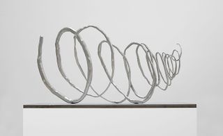 Coil (Mental State no. 4), by Roxy Paine, 2017