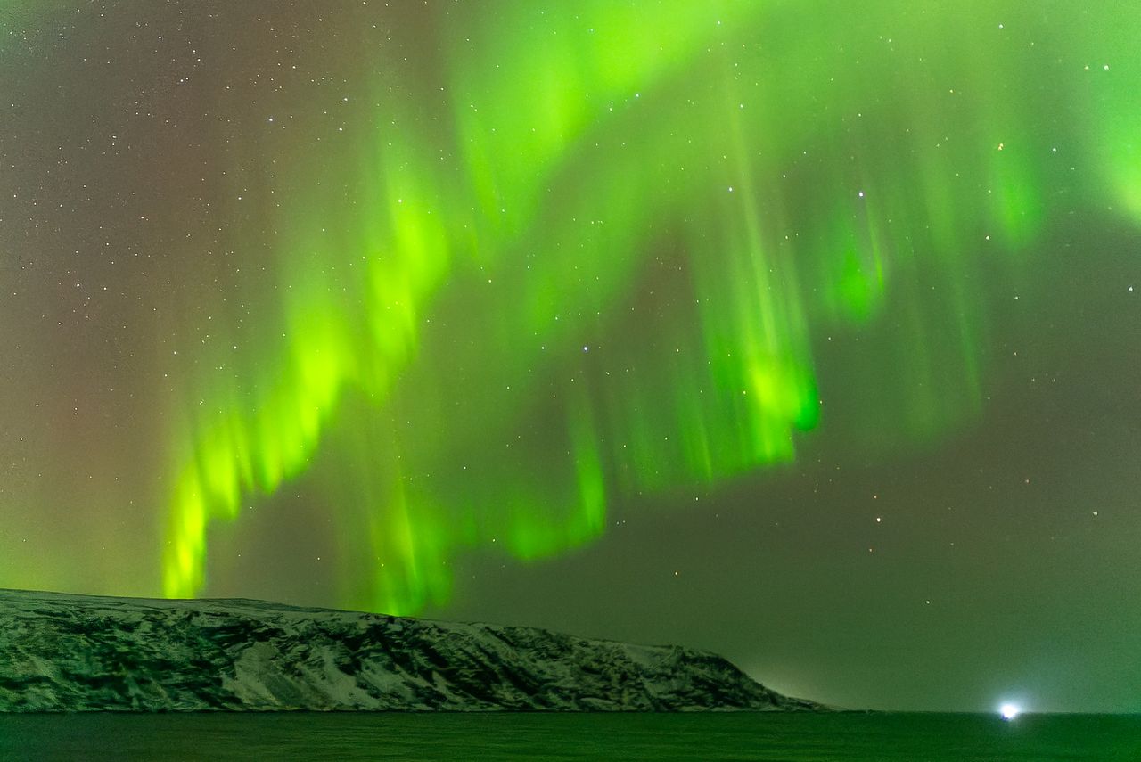 northern lights during the Hurtigruten Astronomy Voyage.