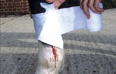 dressing-wound-hr2.jpg
