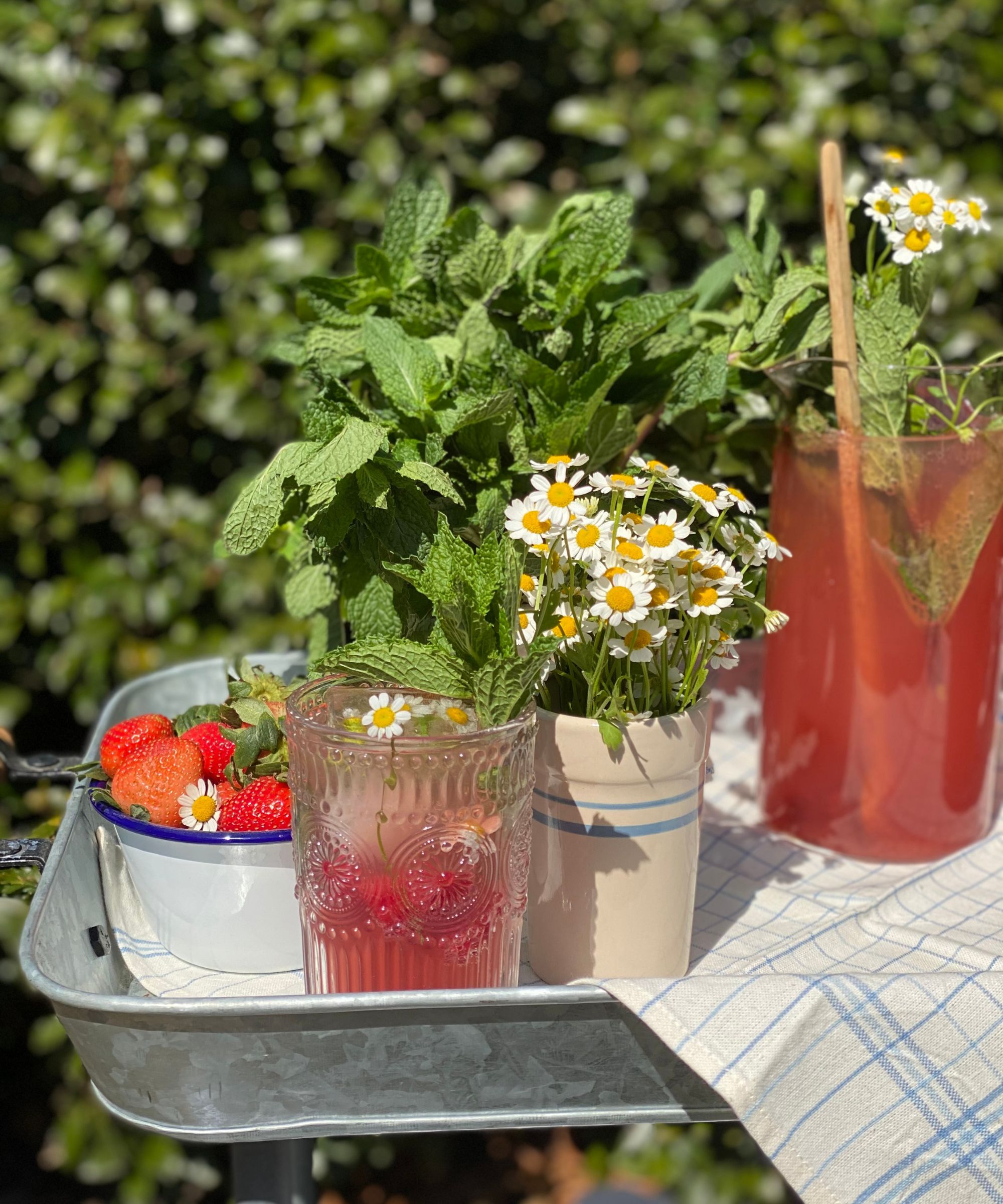 Tray of red drinks, bowl of strawberries, and cups of flowers and herbs with a garden background