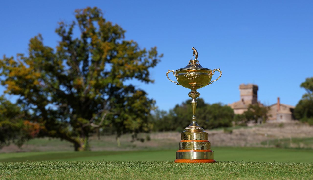 The Ryder Cup in front of a green tree and on the grass