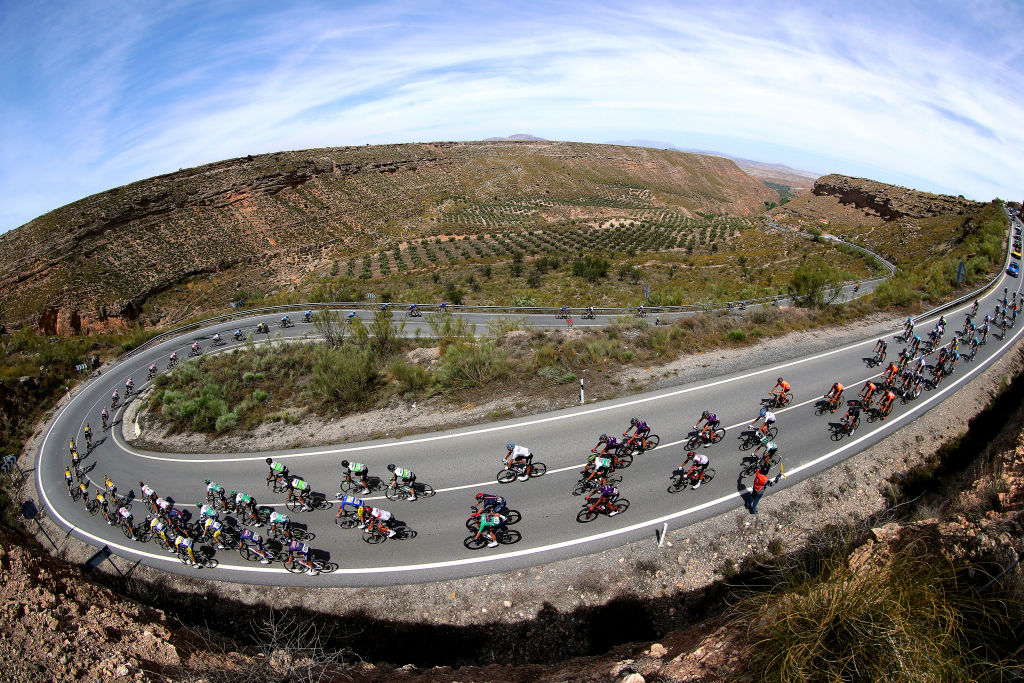 CLLAR VEGA SPAIN MAY 21 The peloton passing through olive trees landscape during the 67th Vuelta A Andalucia Ruta Del Sol 2021 Stage 4 a 1829km stage from Baza to Cllar Vega VCANDALUCIA on May 21 2021 in Cllar Vega Spain Photo by Gonzalo Arroyo MorenoGetty Images