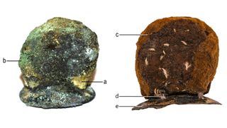 A magnified view of the prosthesis before (left) and after (right) conservation. In the left image, we see a) traces of shiny, yellow metal (most likely gold) covering the woolen pad; and b) a trace of green corrosion indicating copper. In the right image, we see c) felted fabric that fits into the nasal cavity; d) a loop through which a white linen thread passed and connected the fabric to the metal plate; e) a metal plate to replace the absent hard palate.