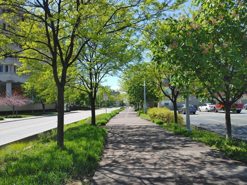 LG V60 photo sample